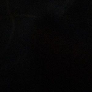 Meet your Posher, Princess